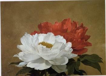unknow artist Still life floral, all kinds of reality flowers oil painting 34 China oil painting art